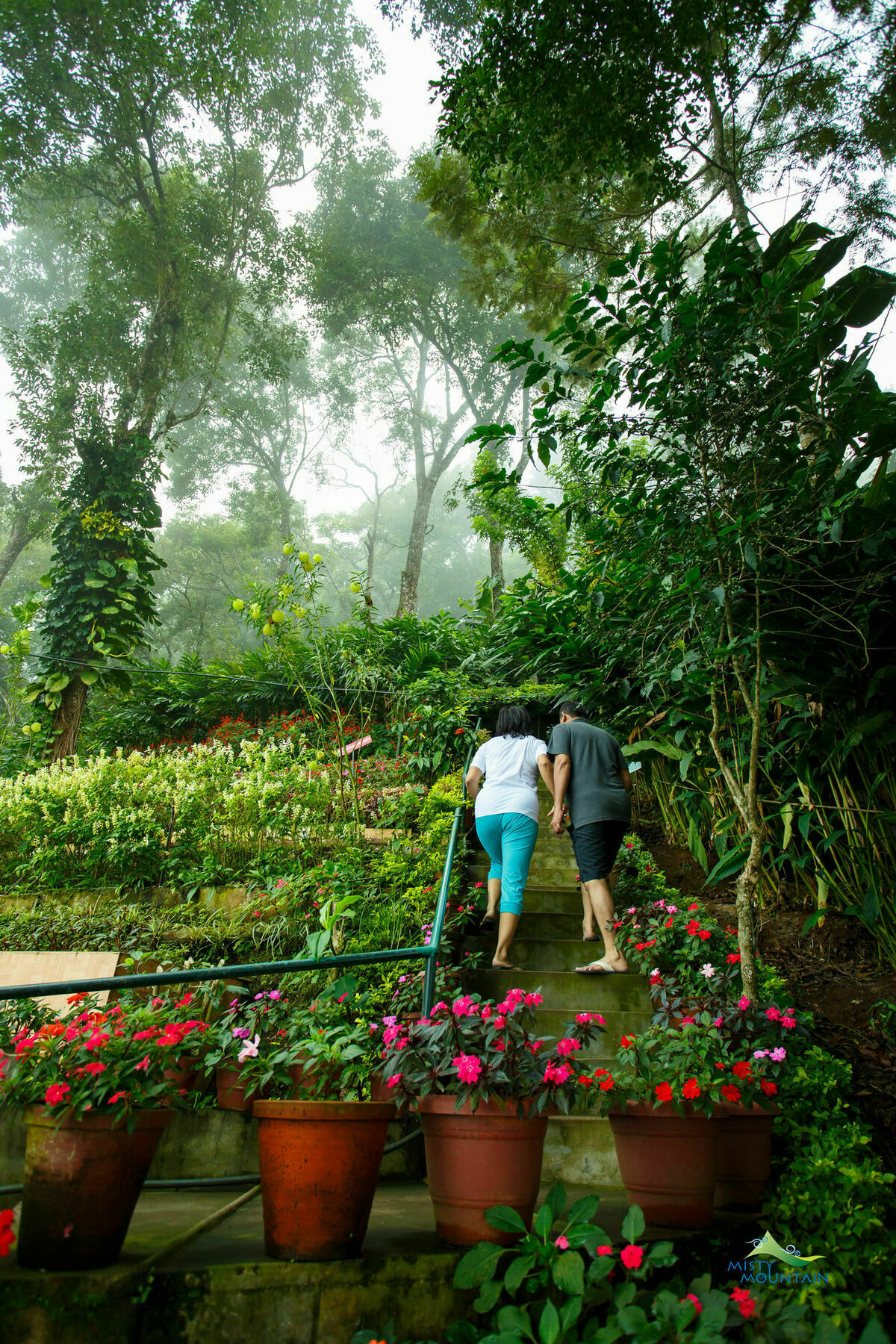 Misty Mountain Resort Munnar Extérieur photo