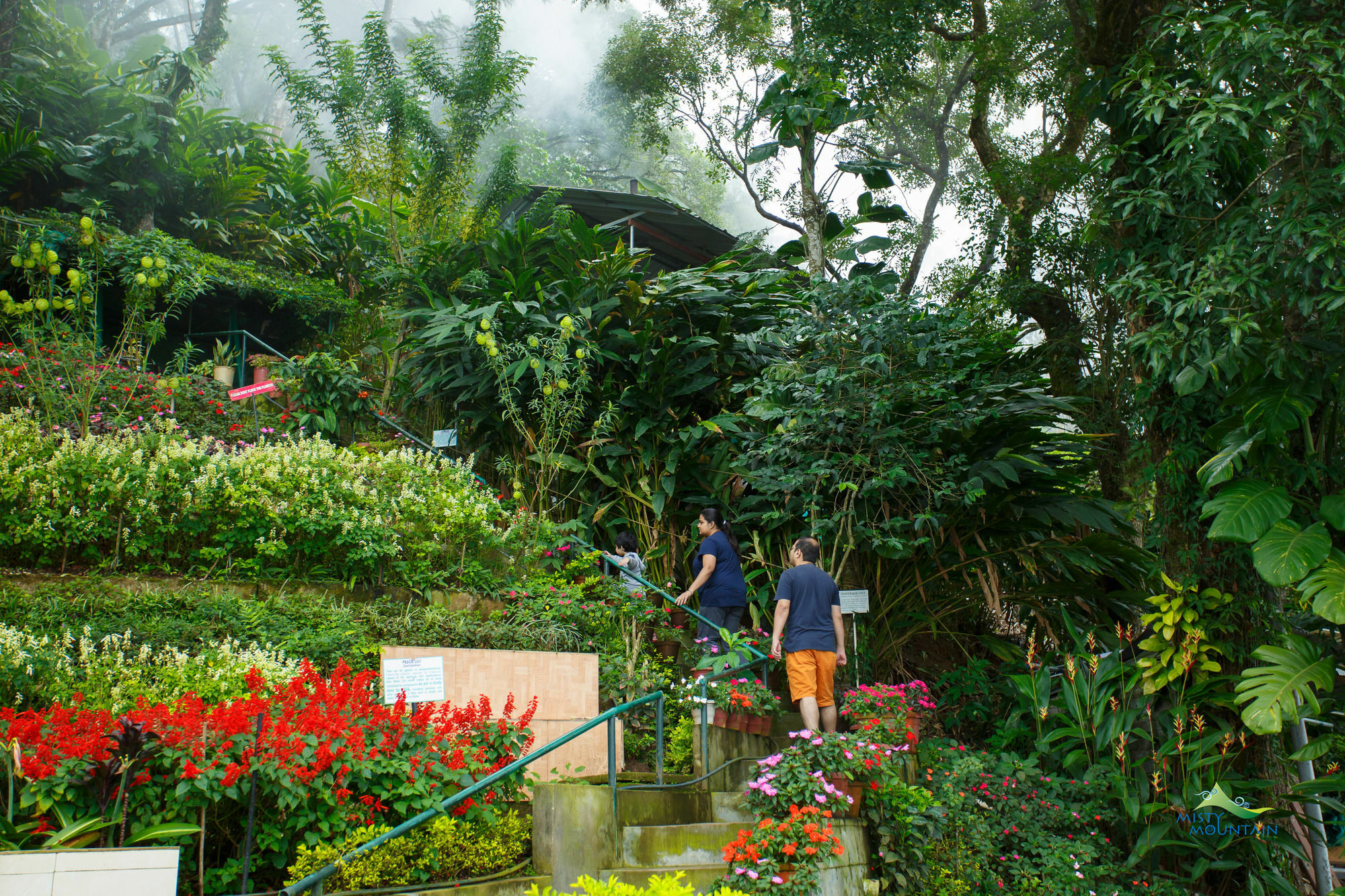 Misty Mountain Resort Munnar Extérieur photo