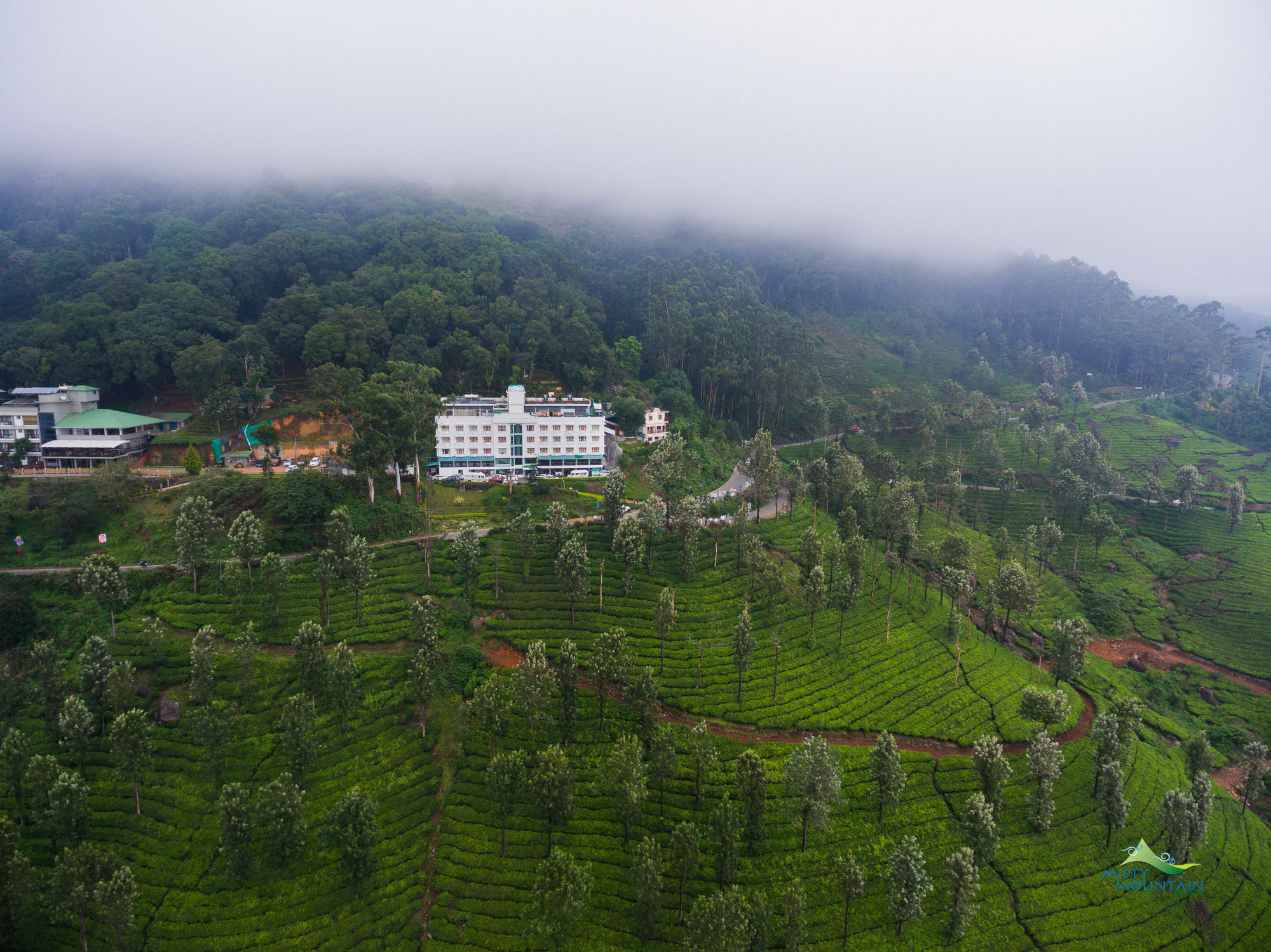 Misty Mountain Resort Munnar Extérieur photo