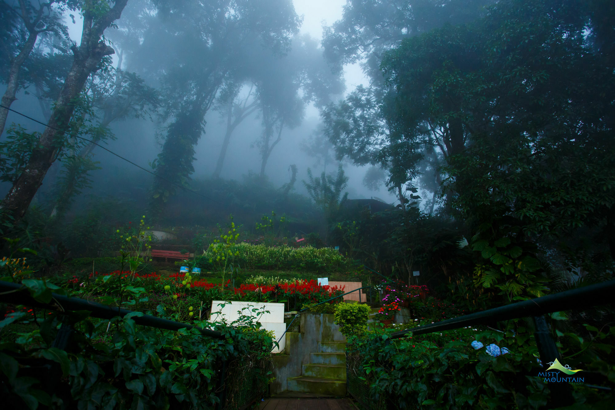 Misty Mountain Resort Munnar Extérieur photo