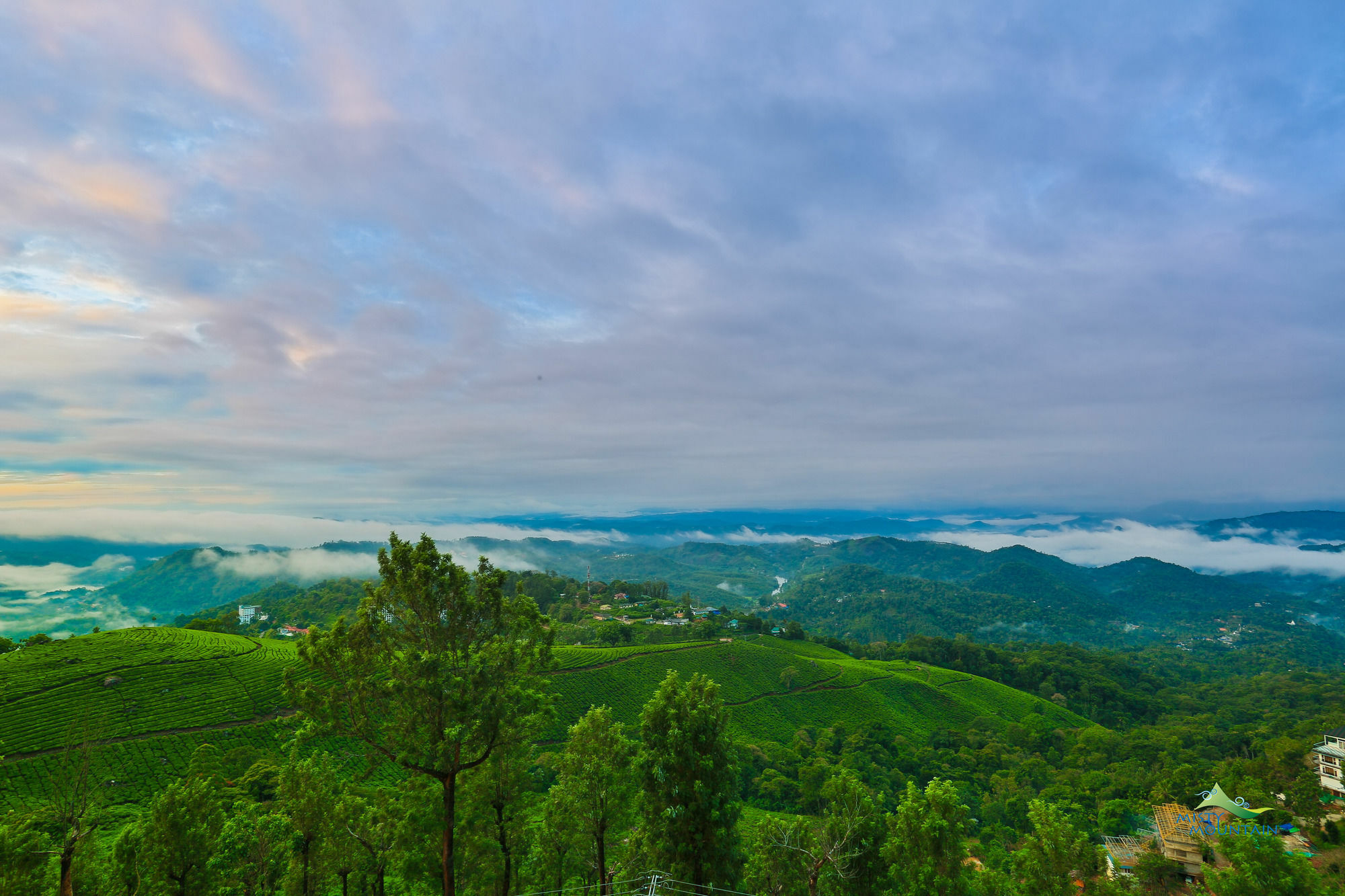 Misty Mountain Resort Munnar Extérieur photo